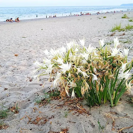 Apartment Casa Casarcobaleno