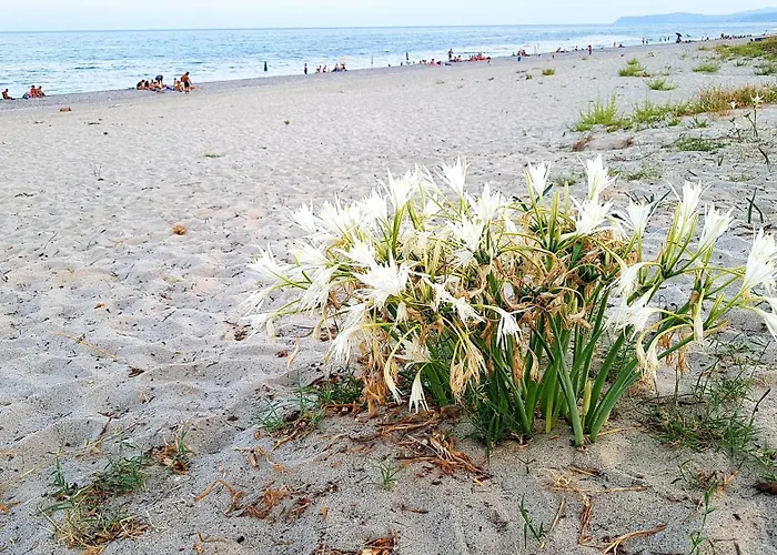 דירה Casa Casarcobaleno